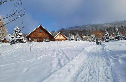 Osada Jelonki Wielka Puszcza - Foto 65