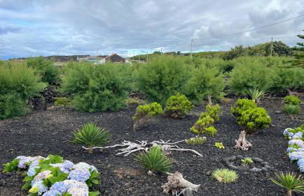 Casa Baleia Laranja Ocean-Front - Photo 50