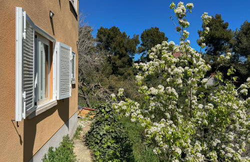 Refugio verde con encanto - Foto 23