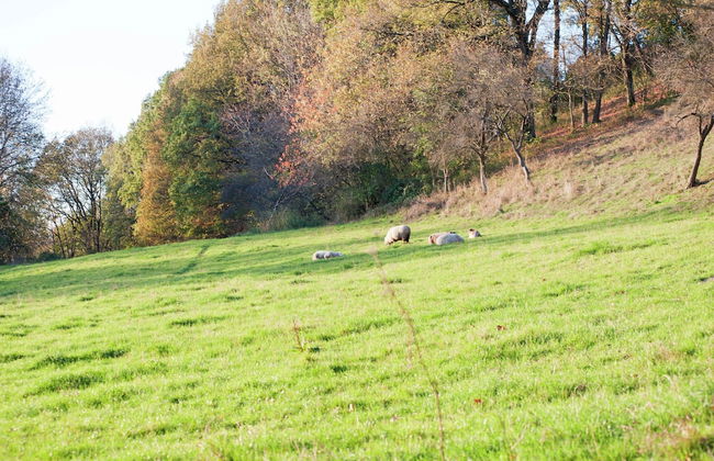 Gemutliches Ferienhaus mit Gartenlaube Amwaldrand - Foto 31