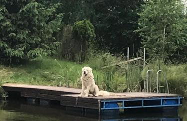 Agroturystyka nad stawami - Foto 20