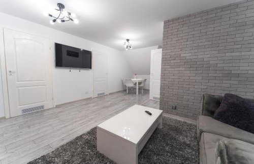 ŁOSOSINA 365 Dom z basenem - Foto 14