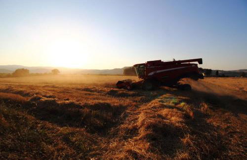 Agriturismo Essentia dimora rurale - Foto 89