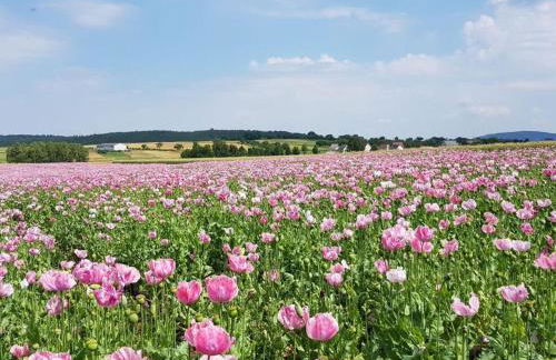 Lovely Apartment in Hesse - Foto 52