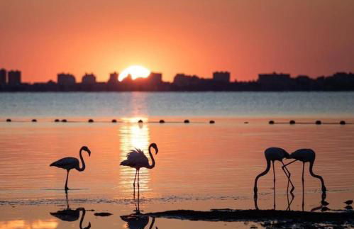 Fantastic, Front line, Penthouse Apartment with amazing views - Foto 46