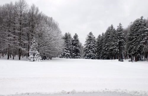 IL RIFUGIO DI GASTONE - Monte Amiata - Macinaie - - Foto 23