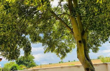 Gîte Spa La grange - Foto 10