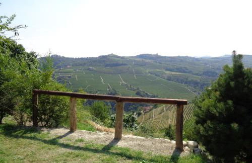 Il cortile dei frutti selvatici - Photo 50