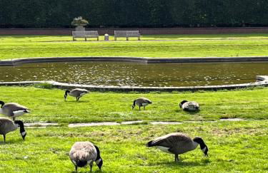 Toplage Apartment an Messe Düsseldorf - Foto 7