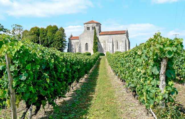 Les Coteaux de Jonzac - Foto 14