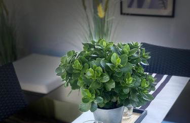 Ferienwohnung Hella - Foto 75