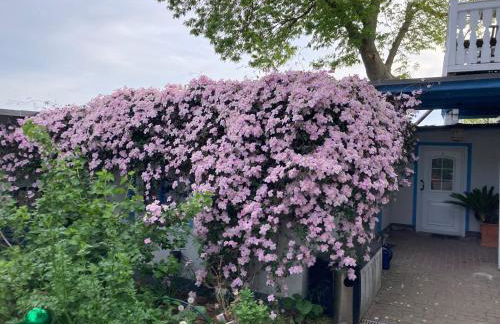 Ahoi Marie - Foto 15