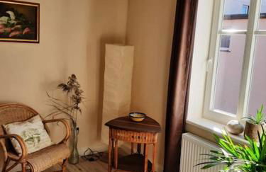 Gäste- und Monteurwohnung alte Gärtnerei - Photo 10