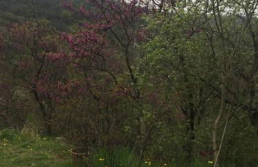 La Casa di Franco - Foto 28