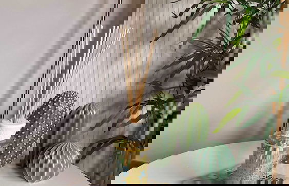 Cozy 1BR City Centre Near Meir Shopping by Oneluxstay - Photo 16