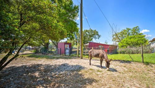 The Clubhouse - Lady Lake Farm Getaway! - Foto 2