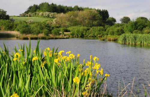 Ty Cellin Tregaron - Foto 12