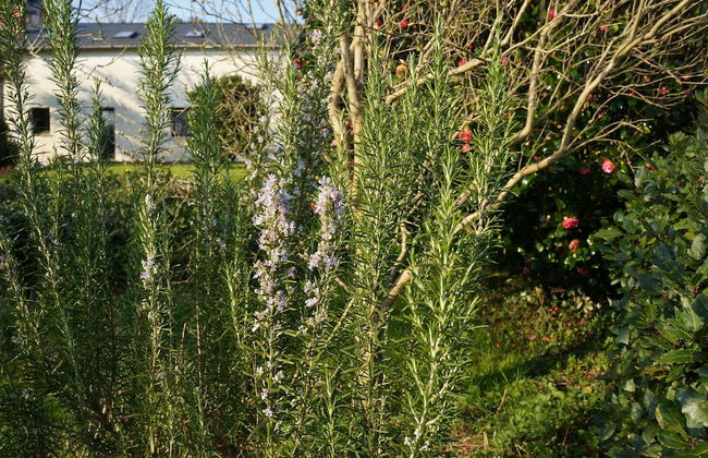 Apartamentos La Collada - Photo 35