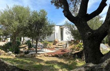 Casa Mariposa Porto Rotondo - Photo 40