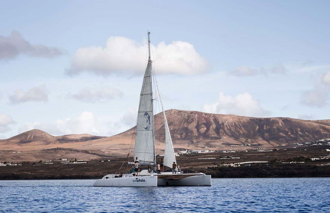 Avistamento de golfinhos ao entardecer em Puerto Calero - Foto 9