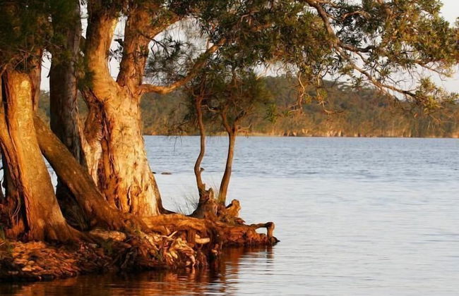 NRMA Myall Shores Holiday Park - Foto 53