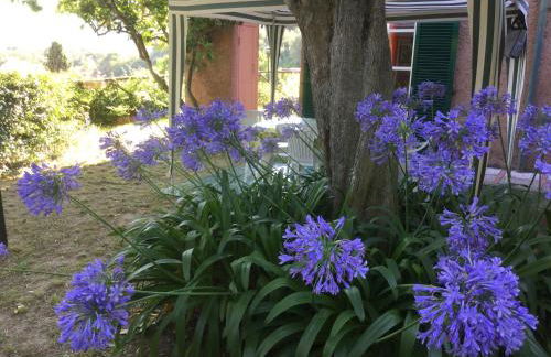 Casa Vacanze Mombrino - Foto 27