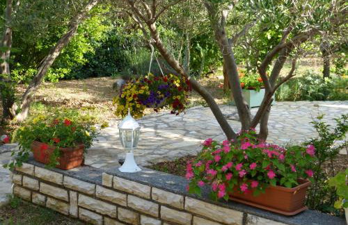 Apartmani Milena - Foto 55