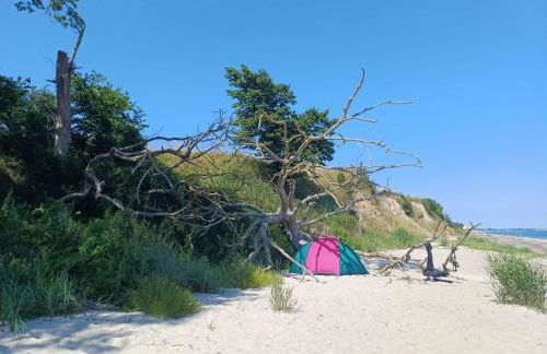 Landhaus Timm - Ferienhaus an der Ostsee - Foto 34