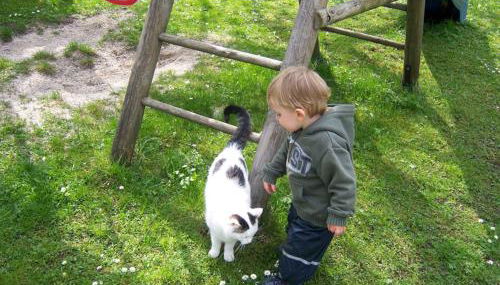 Bognerlehen Katharina Kurz - Foto 4