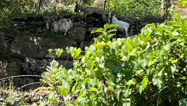 Gîte de Coussane 2 - Photo 5