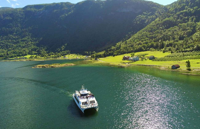 Boat Trip on the Barsnesfjorden & Årøy River - Photo 2