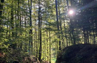 Seebrise Ferienwohnung, Auszeit in ruhiger Lage, Bodensee Nähe, Privatparkplatz, Wlan, Smart TV - Foto 16