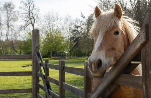 Château de Monceaux 5mn de Bayeux proche Mer - Foto 18