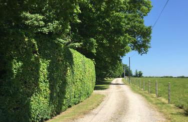 Ferme de Riou - Foto 45