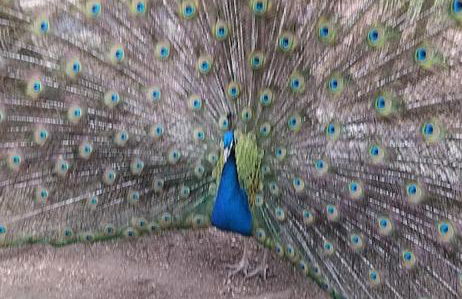 CRASTO PAYVA DOURO NATURE - Foto 27