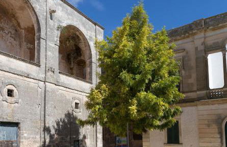 Casale del Forno - Foto 69