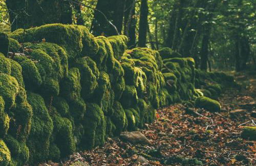 Casa Rural San Marcos - Foto 17