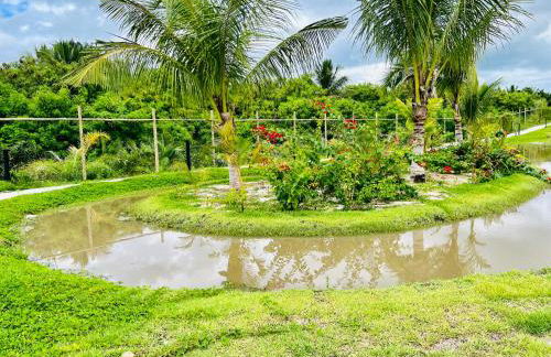 Village encanto - 2 quartos, luxo, térreo e lindo na Praia do Forte - Foto 48