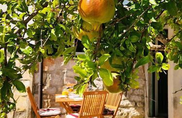 Stone House on the Waterfront in Jezera, Murter Island - Foto 30