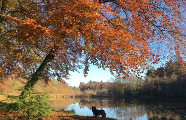 Elm Tree Cottage - Foto 33