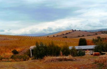 Agriturismo IL CANTINIERE - Foto 28