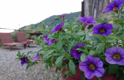 Agriturismo Al Pagan - Foto 41