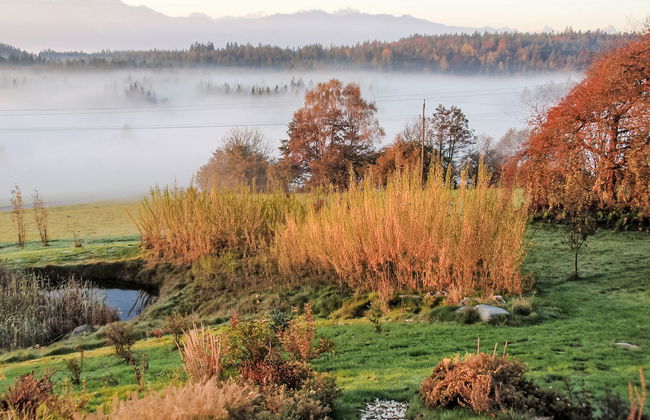 5 bedroom House in Velden am Wörther See with private pool and garden - Photo 22