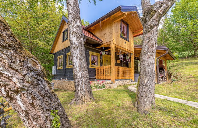 Chalet Birchwood With Whirlpool and Sauna - Foto 29