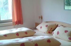 Ferienwohnung Wiesengrund - Foto 10