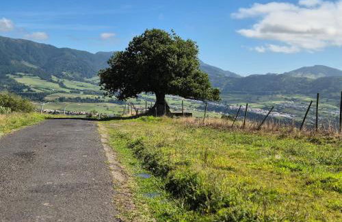 Quinta da Carlota - Photo 46