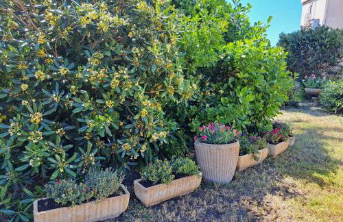 Mini villa jardin 50 m plage - Foto 21