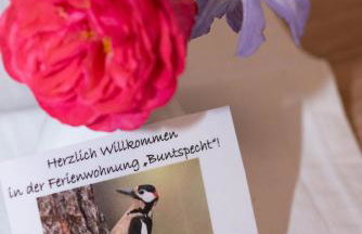 Haus Sonnenruh - Foto 49