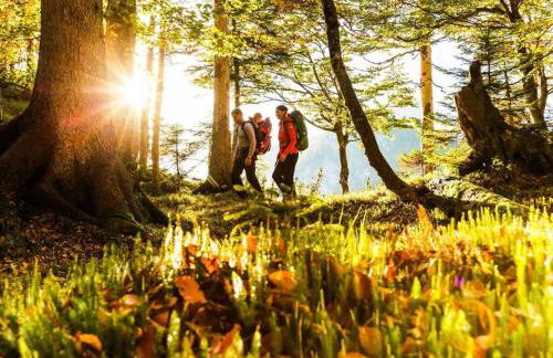 Alpentraum Comfortable holiday residence - Foto 22