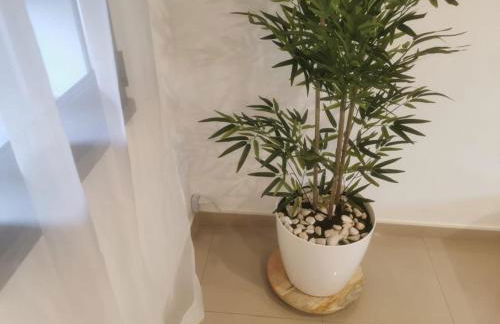 Casa da Silva - Foto 6